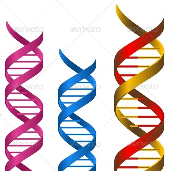 Dna Graphics, Designs & Templates | GraphicRiver
