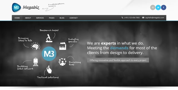 HTML CSS Website Templates | ThemeForest