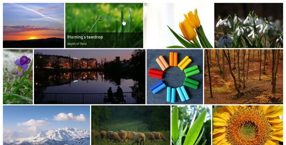 Justified Image Grid - Premium WordPress Gallery preview 3
