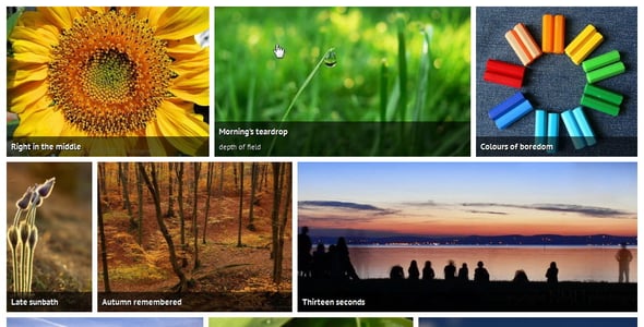 Justified Image Grid - Premium WordPress Gallery preview 5