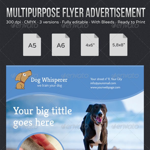 Advertising Flyer Templates | GraphicRiver