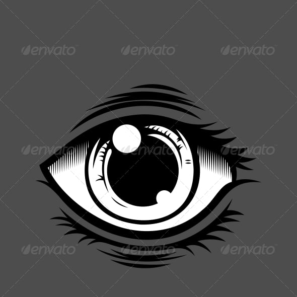 Eye Graphics, Designs & Templates | GraphicRiver