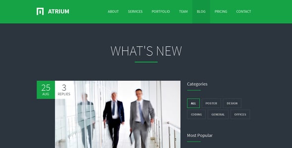 Finance Consulting Website Templates | ThemeForest