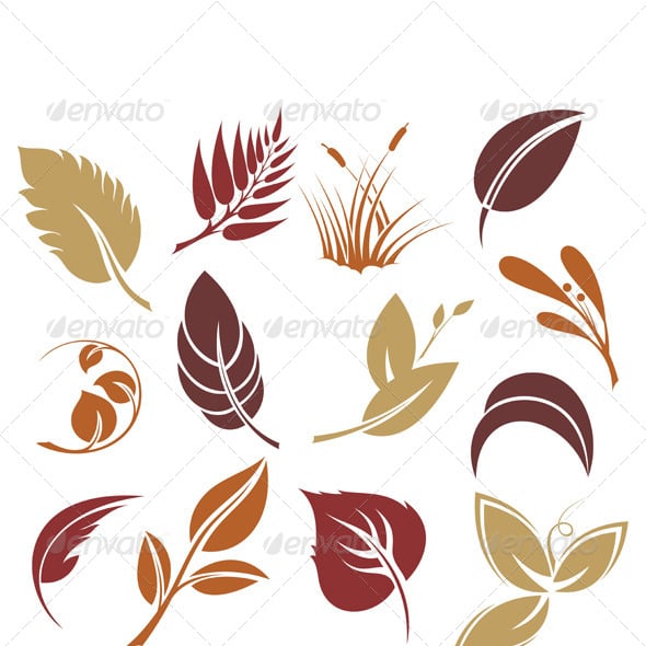 Leave Graphics, Designs & Templates | GraphicRiver