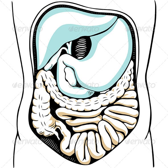 Appendix Graphics, Designs & Templates | GraphicRiver