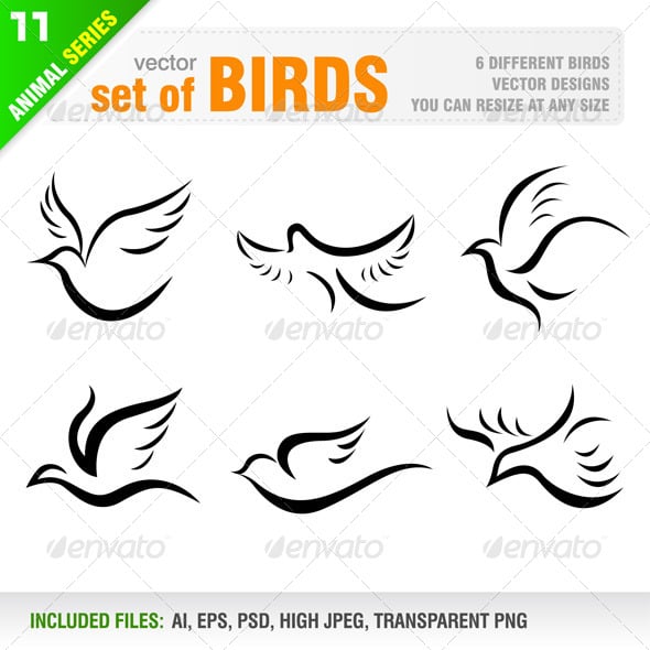 Birding Graphics, Designs & Templates | GraphicRiver