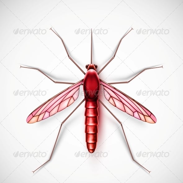 Parasite Graphics, Designs & Templates | GraphicRiver