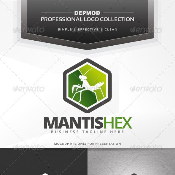 Mantis Graphics, Designs & Templates | GraphicRiver