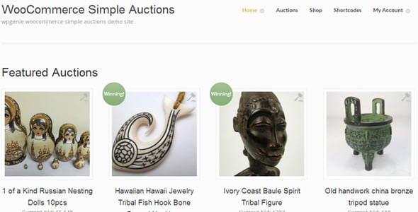 WooCommerce Auctions - WordPress Simple Auctions preview 4