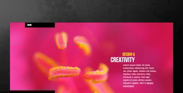 Premium HTML Website Templates | ThemeForest