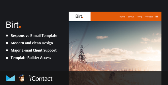 Birt - Responsive Email + Themebuilder Access - Email Templates Marketing