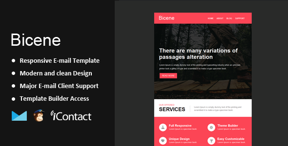 Bicene - Responsive Email + Themebuilder Access - Email Templates Marketing