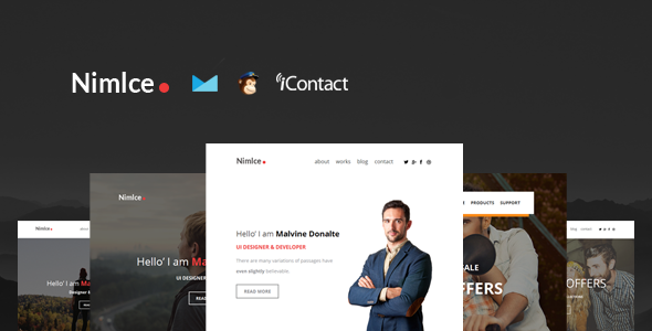 Nimlce - Responsive E-mail Templates set + Online Access - Email Templates Marketing