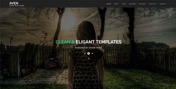 Aven - Multipurpose Parallax HTML Template - Creative Site Templates