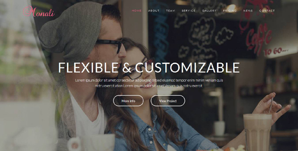 Monali - Responsive HTML5 Template - Technology Site Templates