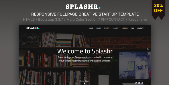 Splashr - Responsive Multipurpose Creative Startup Template - Business Corporate