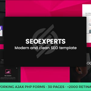 SeoExperts - SEM and Social Media Marketing Template by Ansonika ...