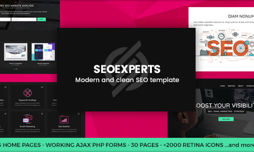SeoExperts - SEM and Social Media Marketing Template by Ansonika ...
