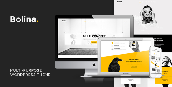 Bolina - Trendy & Stylist WordPress Theme - Creative WordPress
