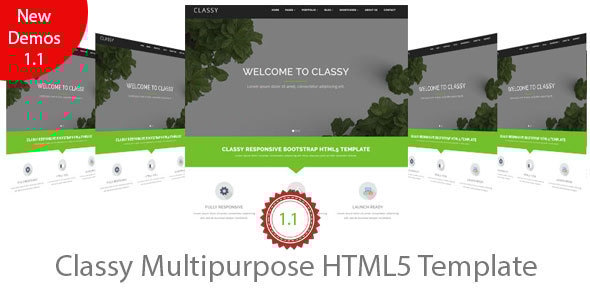 Classy Multipurpose HTML5 Template - Business Corporate
