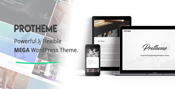 Protheme - Powerful & Flexible Mega WordPress Theme - Creative WordPress