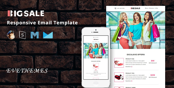 BigSale - Responsive Email Template - Newsletters Email Templates