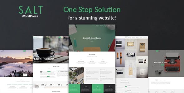 Salt | Responsive Multi-Purpose WordPress Theme - Business Corporate