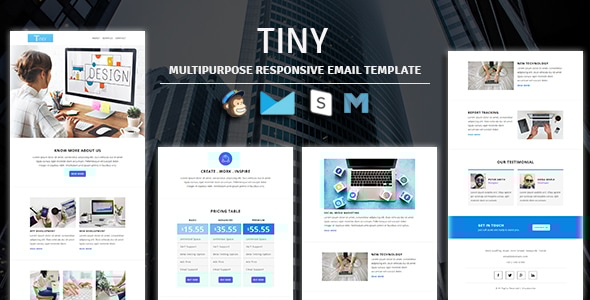 Tiny - Multipurpose Responsive Email Template - Newsletters Email Templates