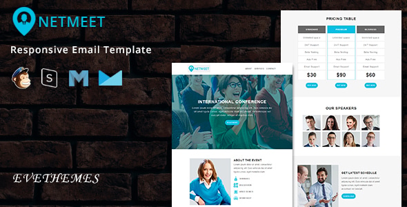 NetMeet - Responsive Email Template - Newsletters Email Templates