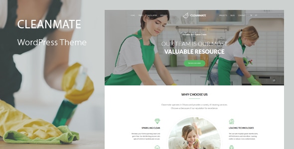 CleanMate - Cleaning WordPress Theme by QuanticaLabs | ThemeForest