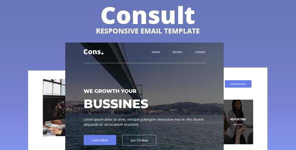 Consult - Responsive Email Template - Newsletters Email Templates