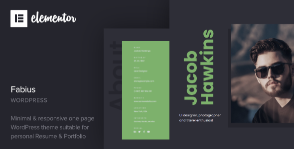 Fabius - One Page Resume WordPress Theme - Portfolio Creative