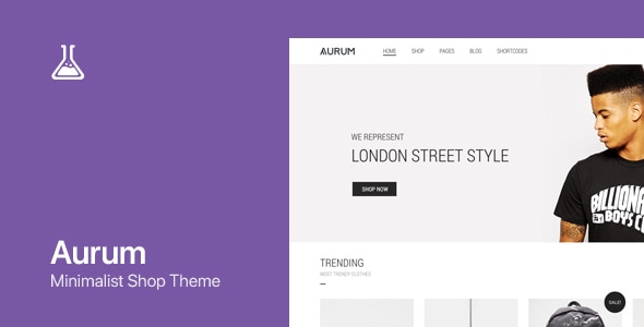 Aurum - WordPress & WooCommerce Shopping Theme - WooCommerce eCommerce