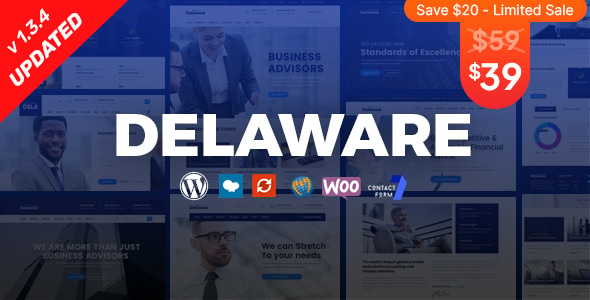 Delaware - Danışmanlık ve Finans WordPress Teması - İş Kurumsal