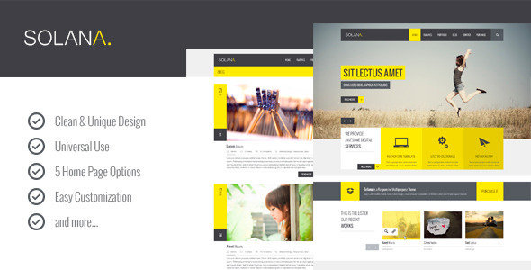 Solana – Multipurpose PSD Template - Corporate Photoshop