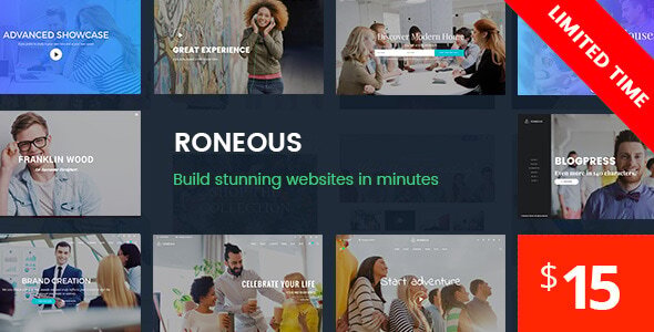 Roneous - Creative Multi-Purpose WordPress Theme - Creative WordPress