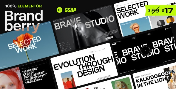 Brandberry – Creative Elementor WordPress Theme - Portfolio Creative