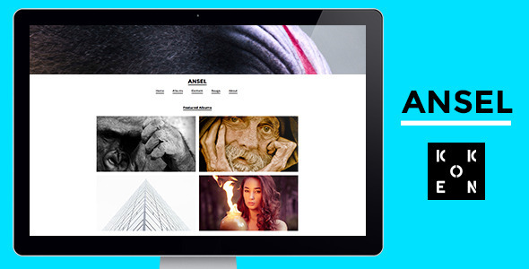 Ansel - Creative Miscellaneous