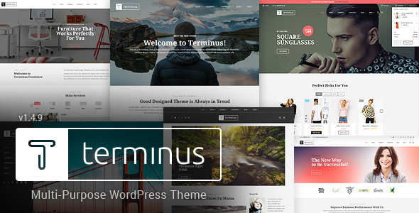 Terminus - Responsive Multi-Purpose WordPress Theme - WooCommerce eCommerce