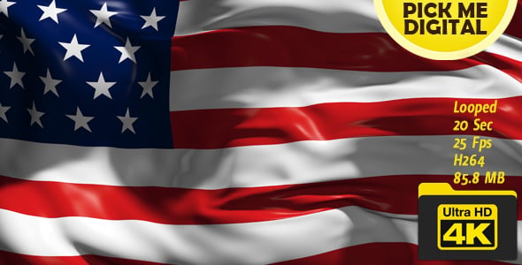 USA Flag, Motion Graphics | VideoHive