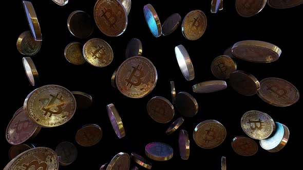 Bitcoin Rain, Motion Graphics | VideoHive