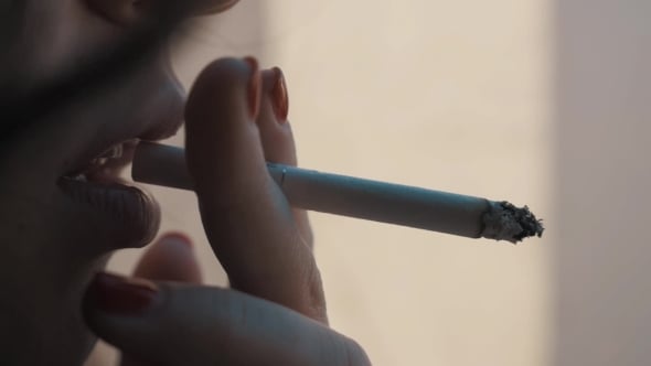 faro airport duty free tobacco prices 2024 pdf Inside Faro