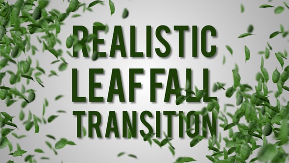 Realistic Leaf Fall Transition, Motion Graphics | VideoHive