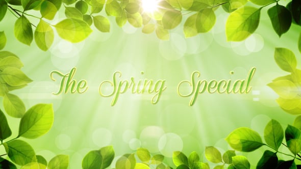 The Spring Special - Promo Pack, After Effects Project Files | VideoHive