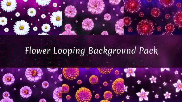 Flower Loop Background Pack, Motion Graphics | VideoHive