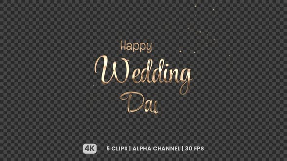 Happy Wedding Day Text Animation, Motion Graphics | VideoHive